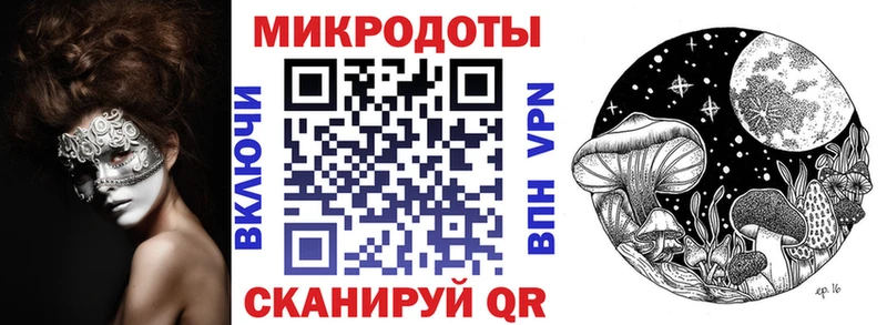 Галлюциногенные грибы Psilocybine cubensis  Нахабино 